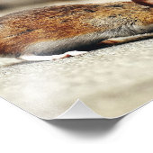 Kleine Maus Fotodruck (Ecke)