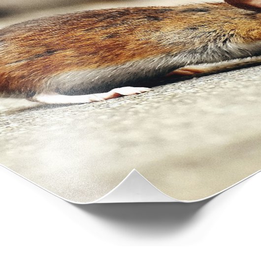 Kleine Maus Fotodruck (Ecke)