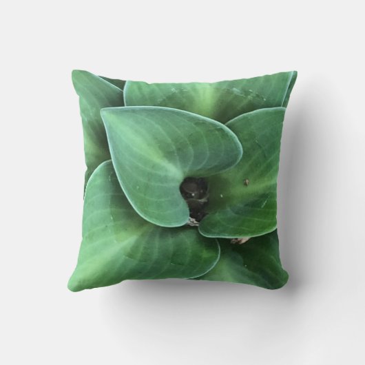 Kleine Maus Hosta Cushion Kissen (Rückseite)