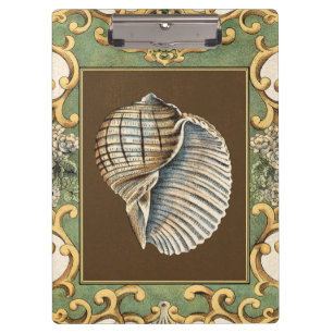 Kleine Meerjungfrau-Muscheln Klemmbrett