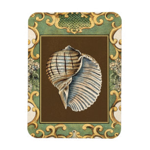 Kleine Meerjungfrau-Muscheln Magnet
