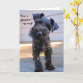 Kleine Miniatur Schnauzer Welpengrüßkarte Karte (Gelbe Blume)