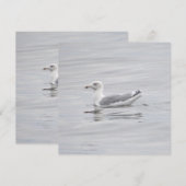 Kleine Möwe (Vorne/Hinten)