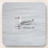 Kleine Möwe Getränkeuntersetzer (Vorderseite)