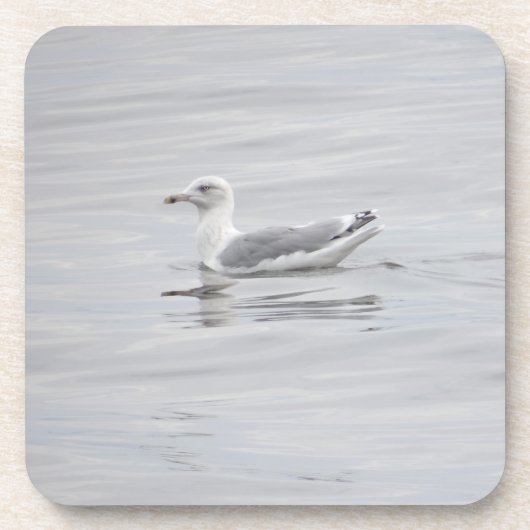 Kleine Möwe Getränkeuntersetzer (Vorderseite)