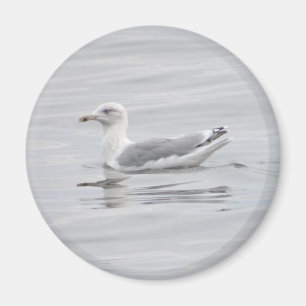 Kleine Möwe Magnet