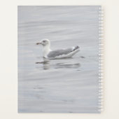 Kleine Möwe Planer (Rückseite)