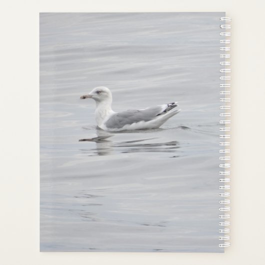 Kleine Möwe Planer (Rückseite)