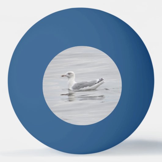 Kleine Möwe Tischtennisball (Vorderseite)