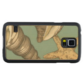 Kleine Muschel Trio auf Aquamarin (Vorderseite (Horizontal))