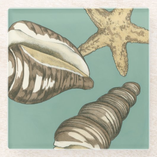 Kleine Muschel Trio auf Aquamarin Glasuntersetzer (Vorderseite)