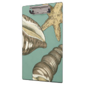 Kleine Muschel Trio auf Aquamarin Klemmbrett (Links)