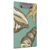 Kleine Muschel Trio auf Aquamarin Klemmbrett (Rechts)