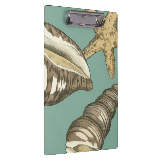 Kleine Muschel Trio auf Aquamarin Klemmbrett (Rechts)