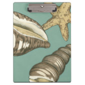 Kleine Muschel Trio auf Aquamarin Klemmbrett (Vorderseite)