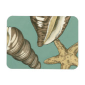 Kleine Muschel Trio auf Aquamarin Magnet (Horizontal)