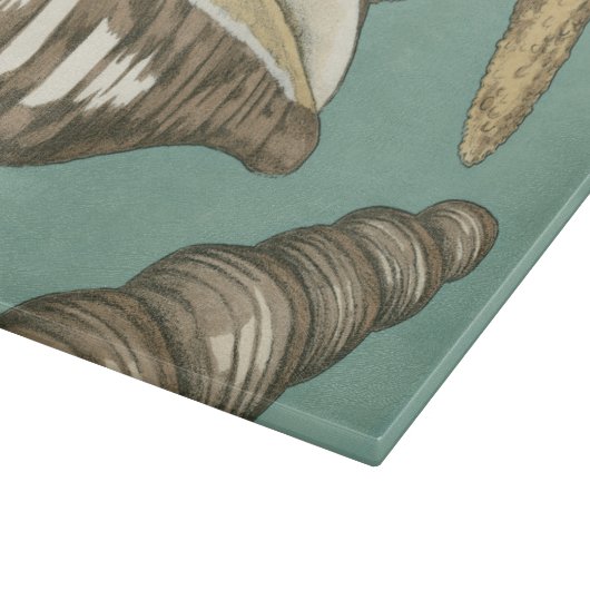 Kleine Muschel Trio auf Aquamarin Schneidebrett (Ecke)