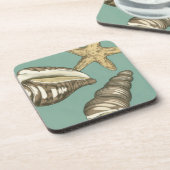 Kleine Muschel Trio auf Aquamarin Untersetzer (Linke Seite)