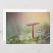 Kleine Mushroom-Fotokarte (Vorne/Hinten)