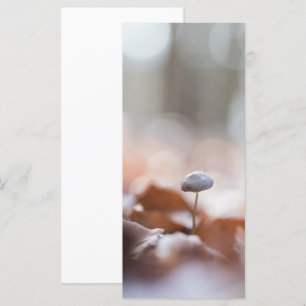 Kleine Mushroom Nature Foto Card