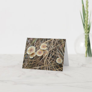 Kleine Mushrooms OBX-Karte Feiertagskarte