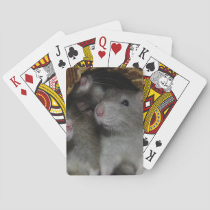 Kleine Nasen Spielkarten