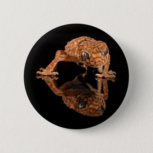 Kleine Niedliche Lizard Reptil mit Reflektion Button (Vorderseite)