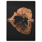 Kleine Niedliche Lizard Reptil mit Reflektion Klemmbrett (Rückseite)