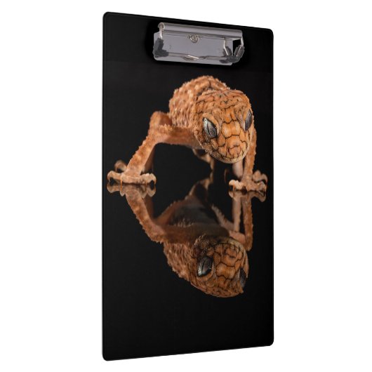 Kleine Niedliche Lizard Reptil mit Reflektion Klemmbrett (Rechts)