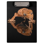 Kleine Niedliche Lizard Reptil mit Reflektion Klemmbrett (Vorderseite)