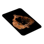 Kleine Niedliche Lizard Reptil mit Reflektion Magnet (Rechte Seite)