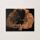 Kleine Niedliche Lizard Reptil mit Reflektion Puzzle (Horizontal)