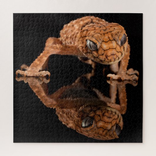 Kleine Niedliche Lizard Reptil mit Reflektion Puzzle (Vertikal)