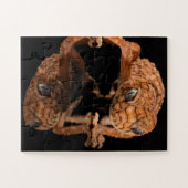 Kleine Niedliche Lizard Reptil mit Reflektion Puzzle (Horizontal)