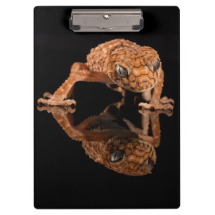Kleine Niedliche Lizard Reptilien mit Reflektion Klemmbrett