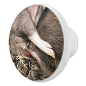 KLEINE NIEDLICHE SCHWEINE KERAMIKKNAUF (Rechts)