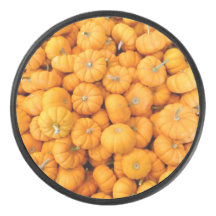 Kleine Orange Fall Harvest Pumpkins