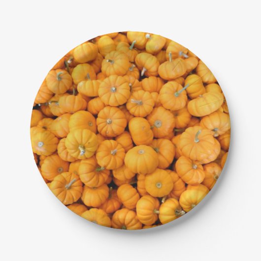 Kleine Orange Harvest Pumpkins Papier Teller (Vorderseite)
