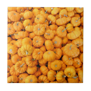 Kleine orange Herbst-Ernte-Kürbisse Fliese