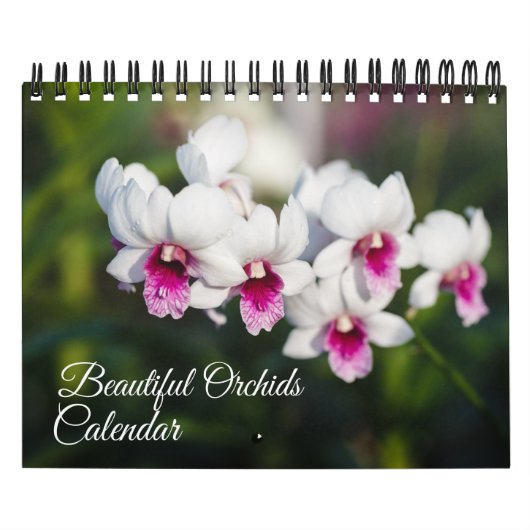 Kleine Orchideen-Kalender Kalender (Titelbild)