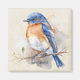 Kleine Ost-Bluebird-Farbe Magnet
