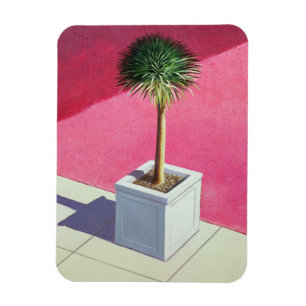 Kleine Palme 1995 Magnet
