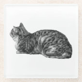 Kleine Pause, Tabby Poise Glasuntersetzer (Vorderseite)