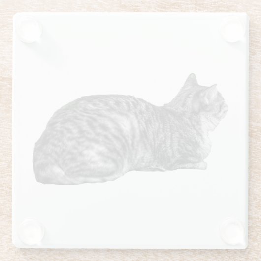 Kleine Pause, Tabby Poise Glasuntersetzer (Rückseite)