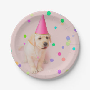 Kleine Paws Gelbe Labrador Welpenpink Geburtstag Pappteller