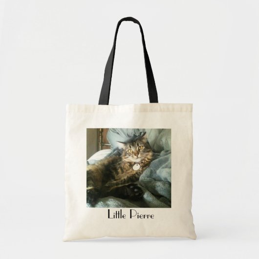 Kleine Pierre-Taschen-Tasche Tragetasche (Vorne)