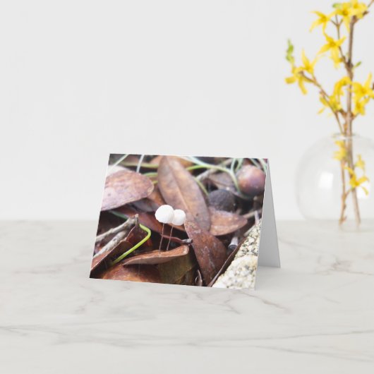 Kleine Pilze auf geklappter Grußkarte Karte (Gelbe Blume)