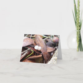 Kleine Pilze auf geklappter Grußkarte Karte
