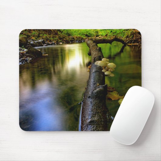 Kleine Pilze in Bowden Burn Mousepad (Mit Mouse)