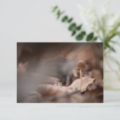 Kleine Pilznatur-Fotokarte (Stehend Vorderseite)